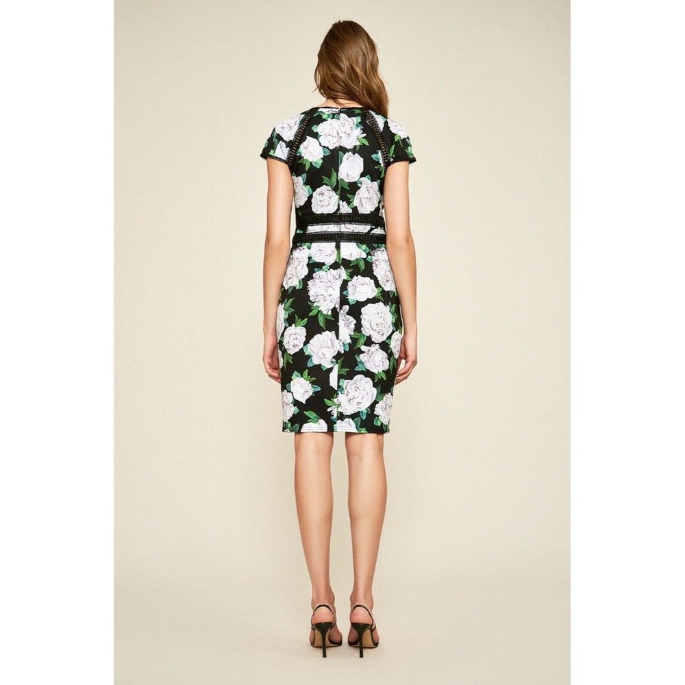 Tadashi Shoji Dress Size 12 Floral Short Sleeve NEW $368 Indigo Floral Neoprene - Picture 2 of 8